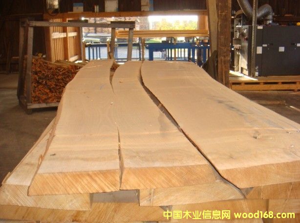 �W��ɽë�Σ���ľ����Ԕ����B