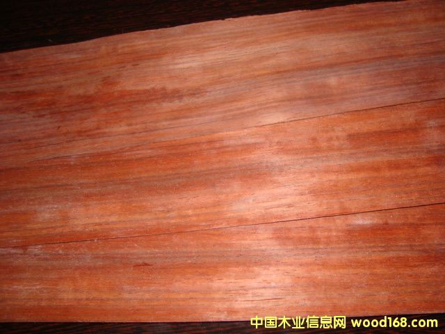 �t̴ľƤ��Ԕ����B