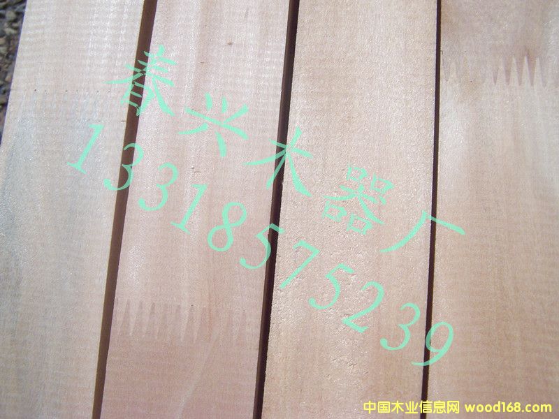 ��ľָ�ӗl��Ԕ����B