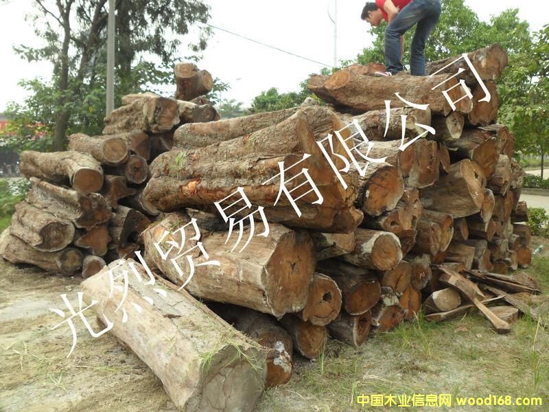 ���ȁ�������ԭľ��Ԕ����B