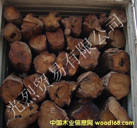 10�·݁�����ԭľ��Ԕ����B