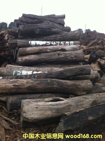 ���|�tľԭľ����С�~�t̴��Ԕ����B