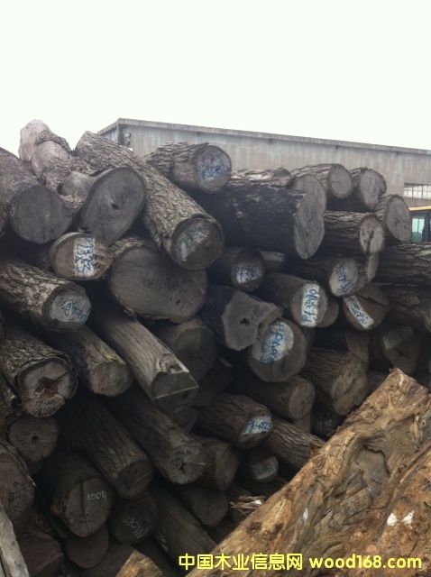 ���|�tľԭľ����С�~�t̴��Ԕ����B