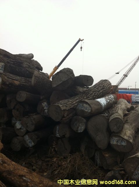 ���|�tľԭľ����С�~�t̴��Ԕ����B