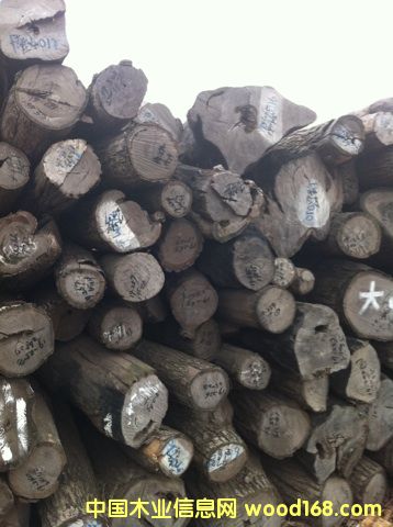 ���|�tľԭľ����С�~�t̴��Ԕ����B