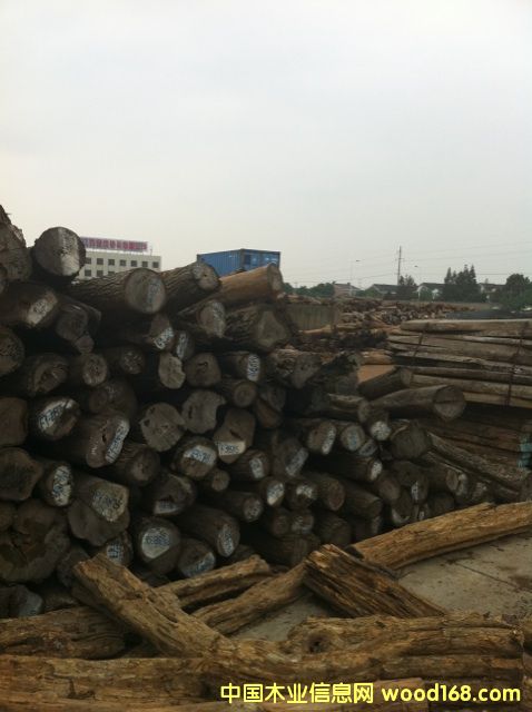 ���|�tľԭľ����С�~�t̴��Ԕ����B