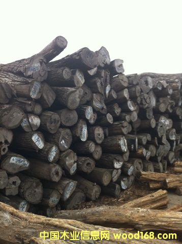 ���|�tľ����С�~�t̴��Ԕ����B