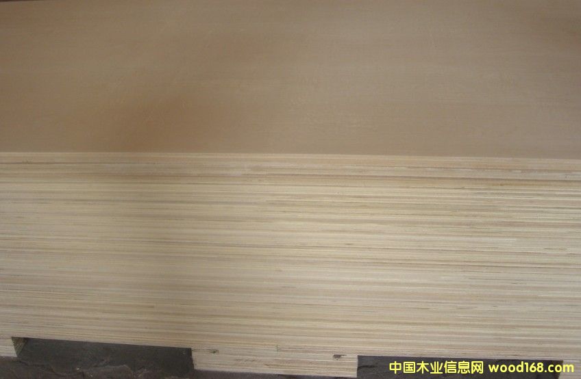 ��ľ�z�ϰ��Ԕ����B