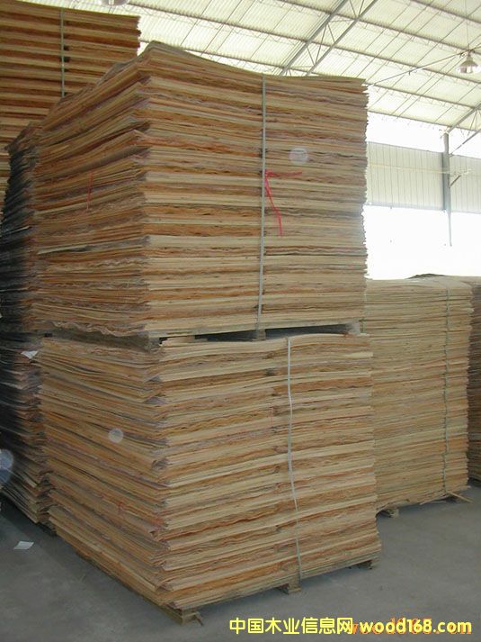 ��ľ�ΰ��Ԕ����B