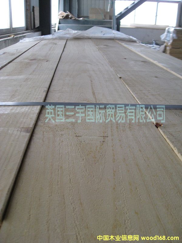 ����ݗ����