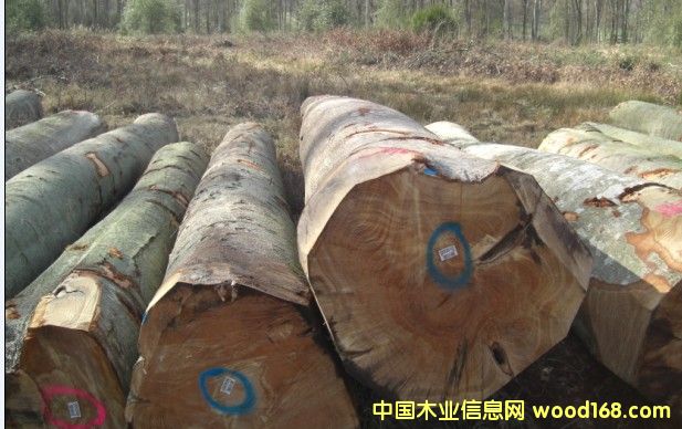 [��] ��Ϟľ���