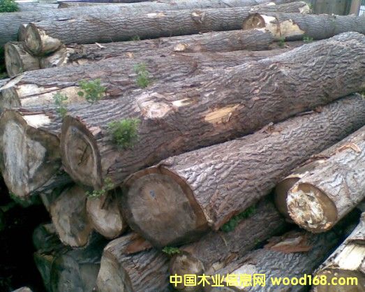 [��] ��Ϟľ���