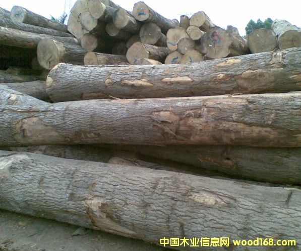 [��] ��Ϟľ���