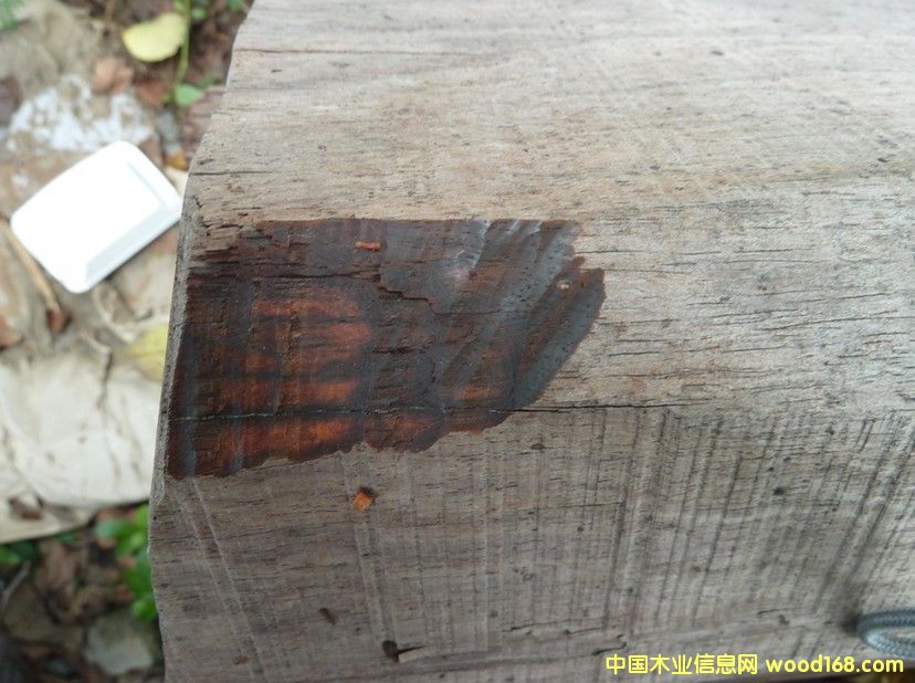 �ϓ��t��֦��Ԕ��(x��)��B