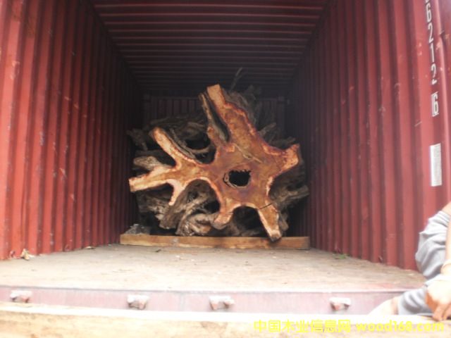 �{���� Narra ��Ԕ����B