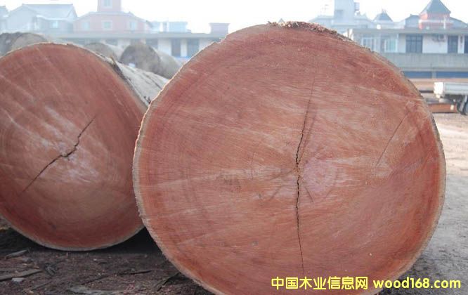 �����Ԕ����B