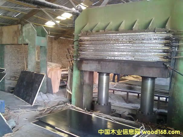 8����ģ��ቺ