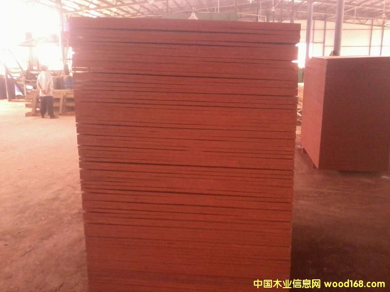 ģ���Ԕ����B