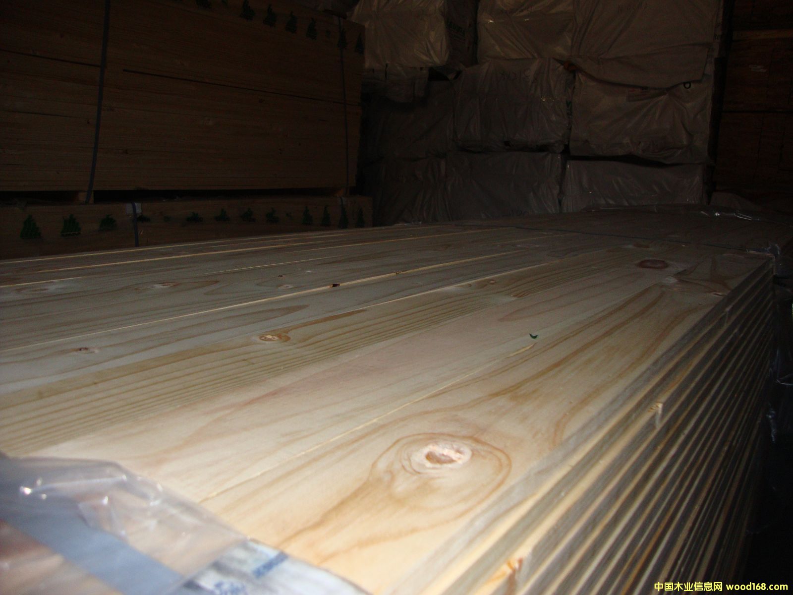 �M��ݗ���� ���2.1cm��� 