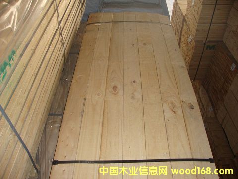 �M��ݗ���� ���1.9cm�ٹ�� 