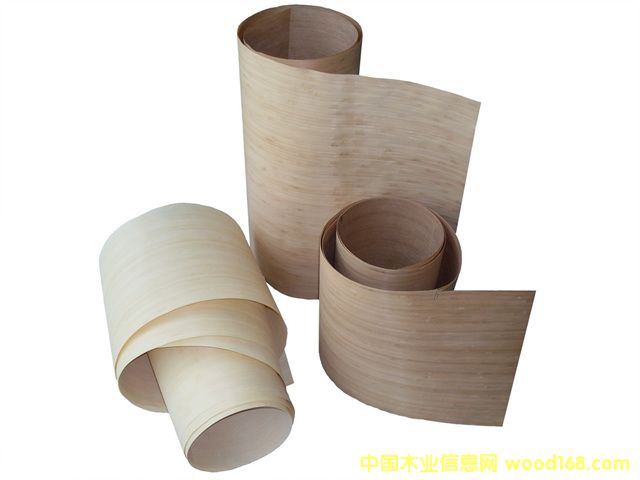 ��Ƥ�N��ĵ�Ԕ����B