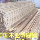 ���NҎ��ľ���ǵ�Ԕ����B