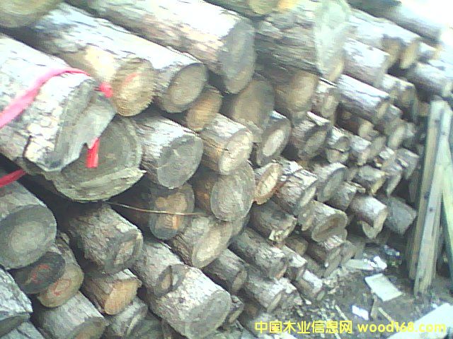 ľ�U��Ԕ����B