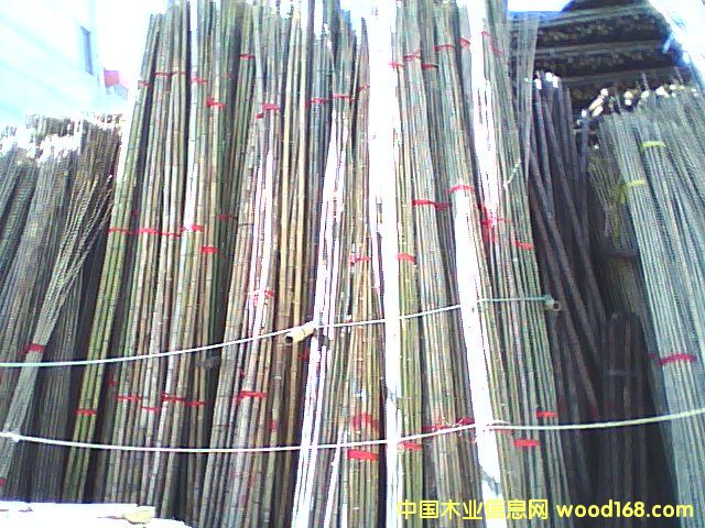 ��͵�Ԕ����B