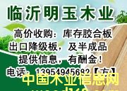 �߃r��ُ̎�����z�ϰ� ���Ӱ� ����ģ��