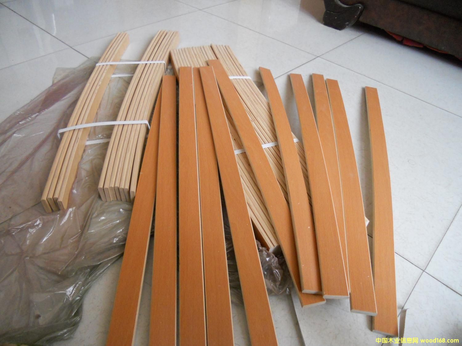 ����l �ŹǗl��Ԕ����B