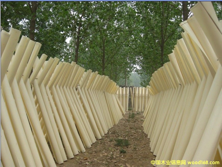 ��ľƯ����Ƥ��Ԕ��(x��)��B