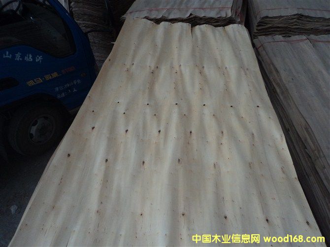 ľƤ��Ԕ��(x��)��B