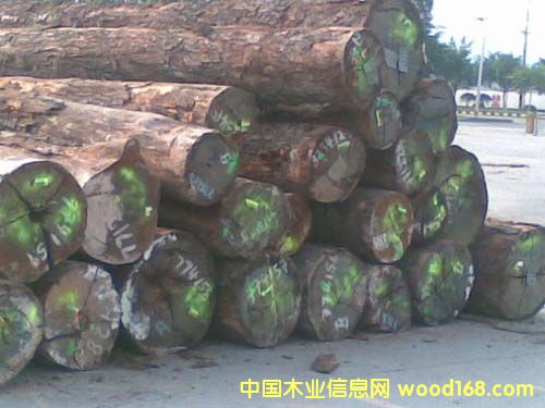 �F���ӵ�Ԕ����B