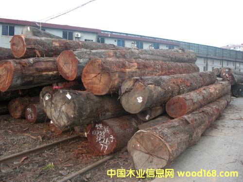 �F���ӵ�Ԕ����B