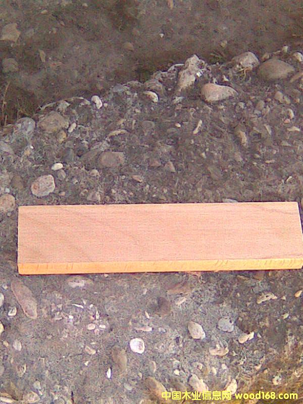 ��ľ���Ԕ����B