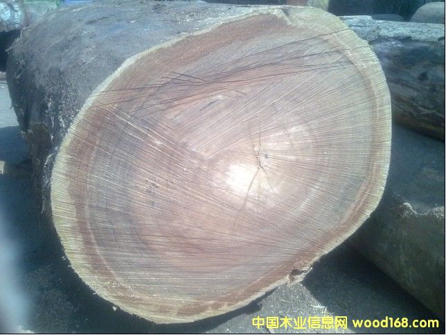 ����ľ��Ԕ��(x��)��B