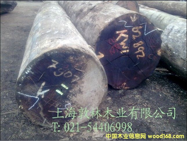 ӡ�Ფ�}���Ԕ��(x��)��B