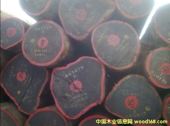 �t�����Ԕ��(x��)��B