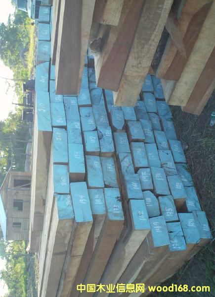 �������Ԕ����B