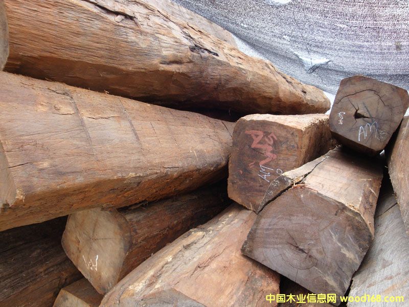 ��֦ľ��Ԕ����B