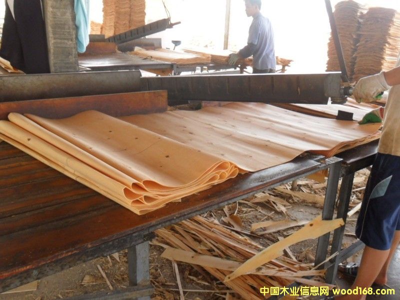 ��ľ�ΰ����a