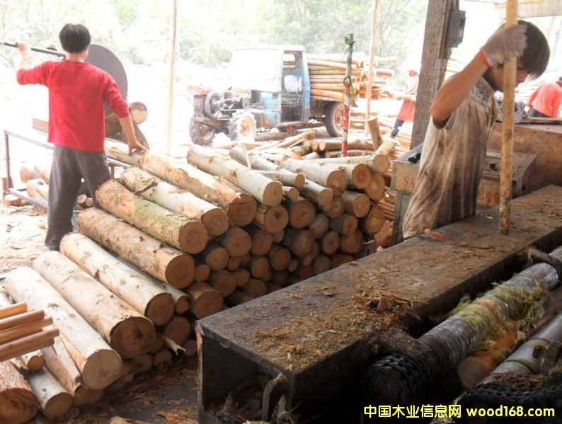 ��ľ�ΰ����a