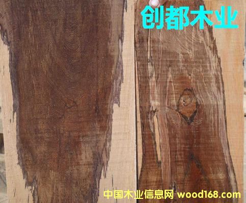 ����Ɲ�S̴��Ԕ����B