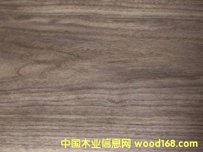 �ں���ľƤ��Ԕ����B