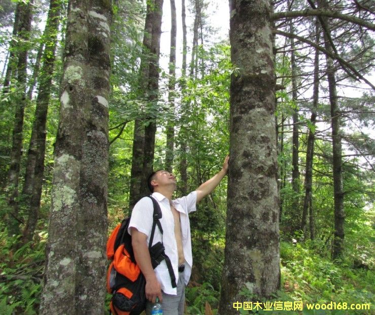 �Ĵ�ʡ�VԪ���ɘ䡢ˮ����11000�������D׌��Ԕ����B