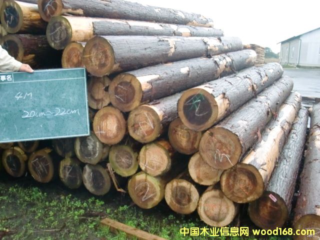 ɼľ��Ԕ����B