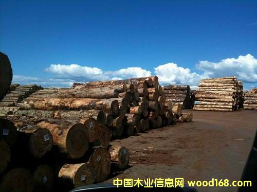 ݗ���ɵ�Ԕ����B