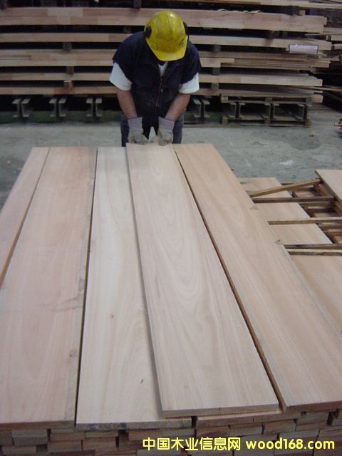 ������ľ��Ԕ����B