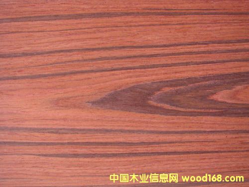 ������֦ 810C��Ԕ��(x��)��B