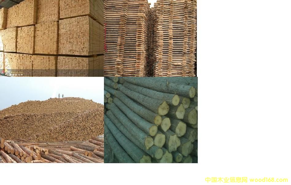 ľ�� ľ���Ԕ����B